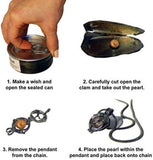 Dolphins Pearl in Oyster Kit Great Gift for Any Occasion 
