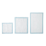 Amazon Basics Leak-Proof Dog and Puppy Potty Training Pee Pads with Quick-Dry 5-Layer Super Absorbent Design, Regular Size 22 x 22 inch, Blue & White, 100 Count
