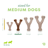 Benebone Wishbone Dog Chew Toy for Aggressive Chewers, Real Bacon, Medium