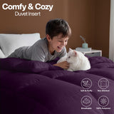 Utopia Bedding Queen Comforter, Duvet Insert, White, 88 x 88 Inches