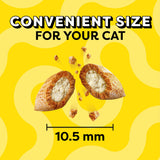 Temptations Classic Crunchy and Soft Cat Treats, Tasty Chicken, 30 oz