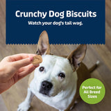 Blue Buffalo Health Bars Pumpkin & Cinnamon Dog Biscuits, 16 oz