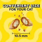 Temptations Classic Crunchy and Soft Cat Treats, Tasty Chicken, 30 oz