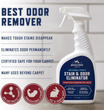 Rocco & Roxie Enzyme Stain & Odor Eliminator, 32 Fl Oz