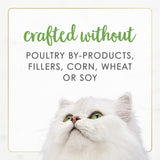 Purina Fancy Feast Gravy Lovers Wet Cat Food, 3 oz Cans, 30-Pack