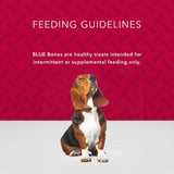 Blue Buffalo Health Bars Pumpkin & Cinnamon Dog Biscuits, 16 oz