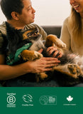 Earth Rated Dog Wipes for Paws & Butt, Deodorizing, Unscented, 100ct