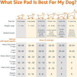 Amazon Basics Leak-Proof Dog and Puppy Potty Training Pee Pads with Quick-Dry 5-Layer Super Absorbent Design, Regular Size 22 x 22 inch, Blue & White, 100 Count