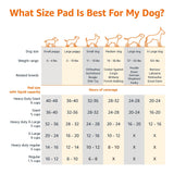 Amazon Basics Leak-Proof Dog and Puppy Potty Training Pee Pads with Quick-Dry 5-Layer Super Absorbent Design, Regular Size 22 x 22 inch, Blue & White, 100 Count