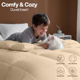 Utopia Bedding Queen Comforter, Duvet Insert, White, 88 x 88 Inches