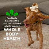 Greenies Teenie Original Natural Dental Dog Treats, Chicken, 43 Count