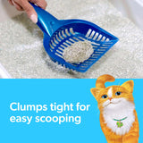 Fresh Step Odor Shield Multi Cat Clumping Cat Litter, 14 lb.