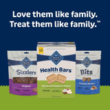 Blue Buffalo Health Bars Pumpkin & Cinnamon Dog Biscuits, 16 oz