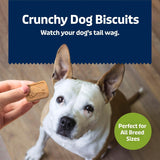 Blue Buffalo Health Bars Pumpkin & Cinnamon Dog Biscuits, 16 oz