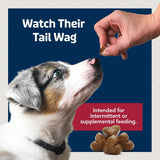 Blue Buffalo Health Bars Pumpkin & Cinnamon Dog Biscuits, 16 oz