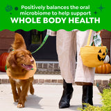 Greenies Teenie Original Natural Dental Dog Treats, Chicken, 43 Count