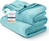 Bedsure Fleece Bed Blankets Queen Size Grey - Soft Cozy Warm Halloween Fall Throw Blanket Lightweight Room Home Decor, Christmas Decorations Gifts for Women and Men, 90x90 inches