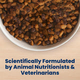 Blue Buffalo Life Protection Formula Chicken Adult Dry Dog Food, 5 lb