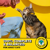 Temptations Classic Crunchy and Soft Cat Treats, Tasty Chicken, 30 oz
