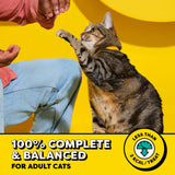 Temptations Classic Crunchy and Soft Cat Treats, Tasty Chicken, 30 oz