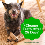 Greenies Teenie Original Natural Dental Dog Treats, Chicken, 43 Count