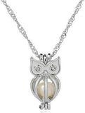 Owl Pearl in Oyster Kit Great Gift for Any Occasion 