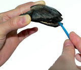 Monkey Pearl in Oyster Kit Great Gift for Any Occasion 
