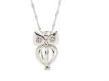 Owl Pearl in Oyster Kit Great Gift for Any Occasion 