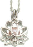 Lotus Pearl in Oyster Kit Great Gift for Any Occasion 